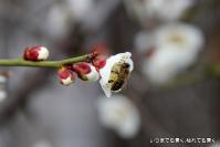 pic20120313_19