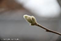 pic20120316_15
