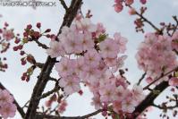 pic20120321_18