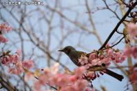 pic20120321_19