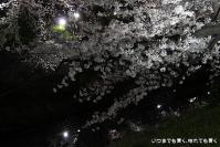 pic20120407_17