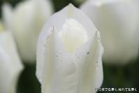 pic20120414_04