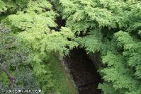 pic20120429_41