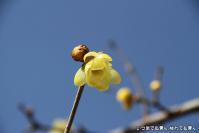 pic20130303_16