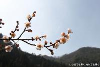 pic20130317_16