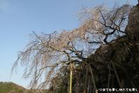 pic20130323_32