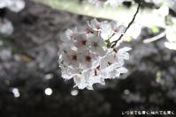 pic20130401_08