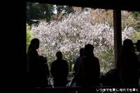 pic20130415_15