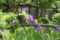 pic20130518_25
