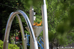 pic20140524_02